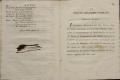 Anteprima pagine libretto.