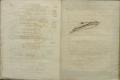 Anteprima pagine libretto.